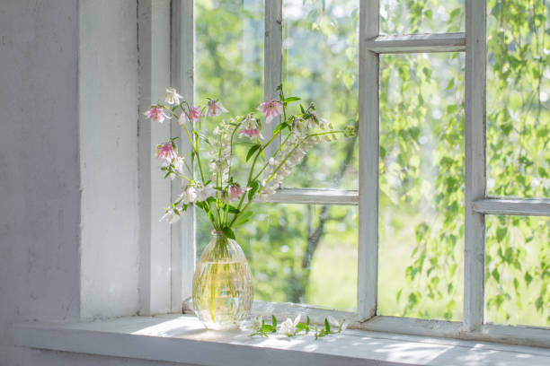 istock summer flowers in vase on windowsill in sunlight 1249193416