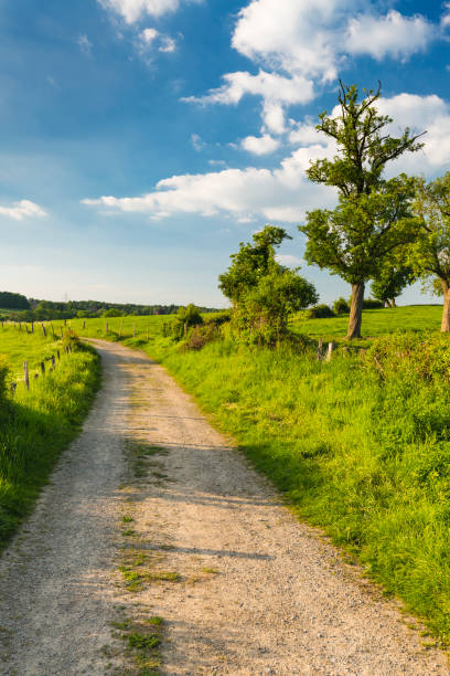 istock Meadow And Road Near Aachen, Germany 1249197996