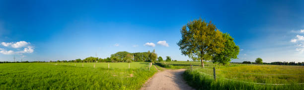 istock Eifel Landscape Panorama Near Aachen, Germany 1249198338
