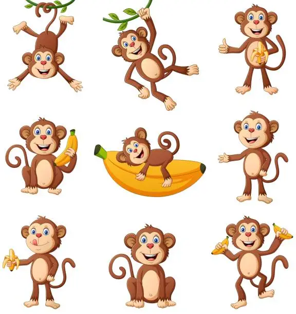 Vector illustration of Set of monkey cartoon different poses