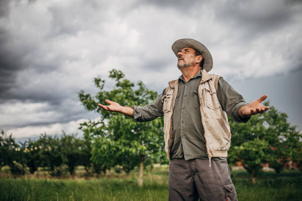 istock One senior farmer standing in the field and expecting rain 1249200602