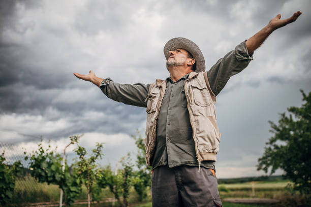 istock Senior farmer standing in the field and expecting rain 1249200629