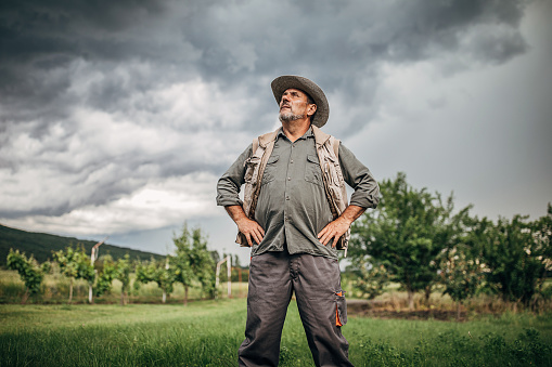 One senior farmer standing in the field and hoping that it will rain.