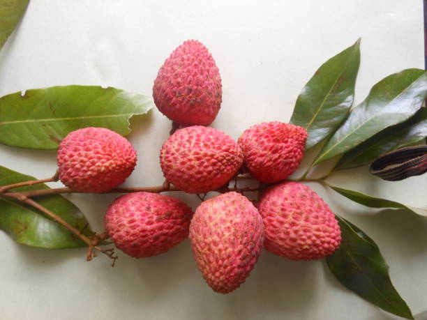 Litchi