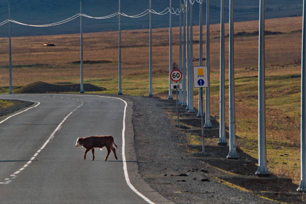 istock Pedestrians on the Chui highway 1249201693