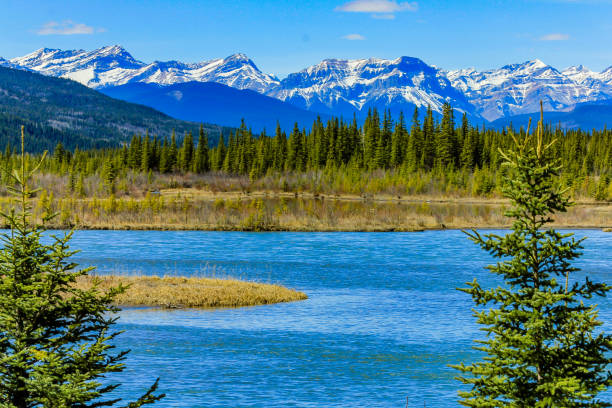 istock The North Saskatchewan River flows through the park, Aylmer Provincial Recreation Area, Alberta, Canada 1249203368