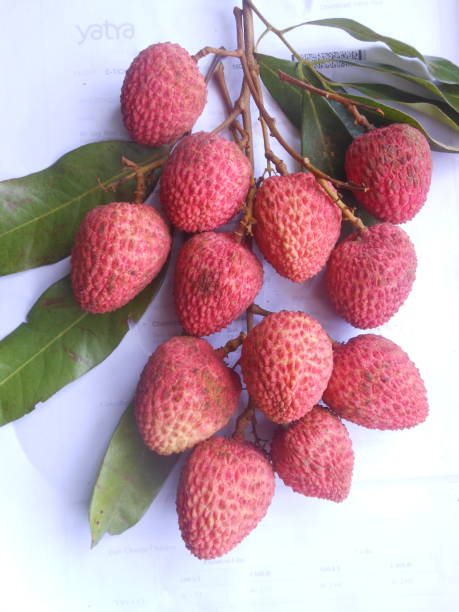 Lychee