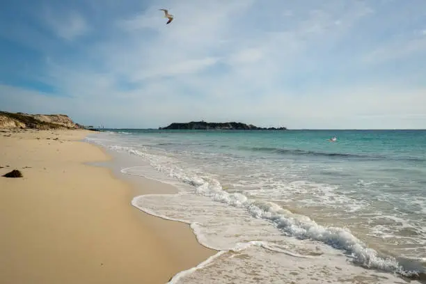 Seagulls flying over one of Western Australia’s prestine beaches signifying the wonders of nature