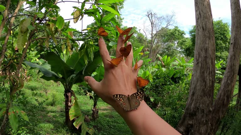 A group of butterflies clinging on their hands