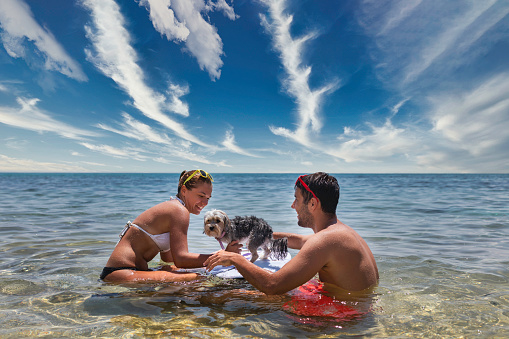 Couple sitting in water with a dog