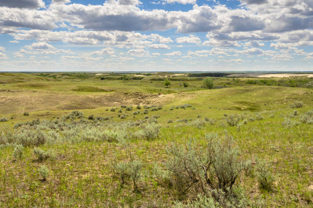 istock Great Sandhills near Leader, Saskatchewan, Canada 1249212368