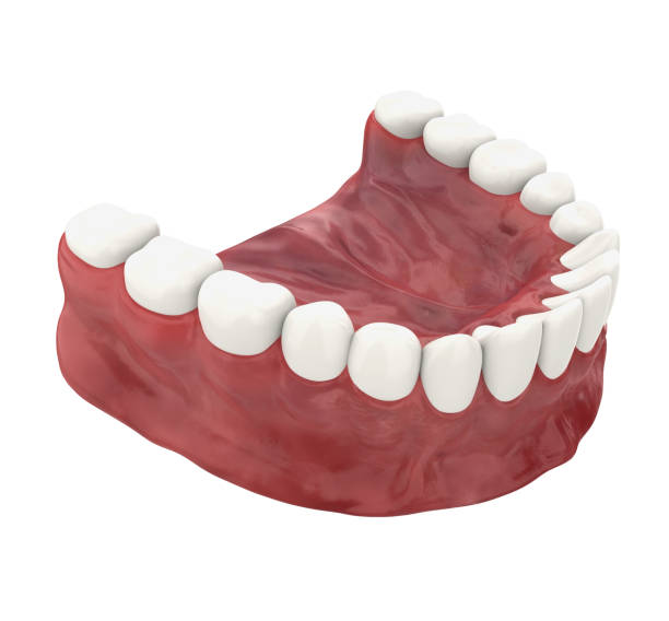 istock Mouth Gum and Teeth Isolated 1249213872