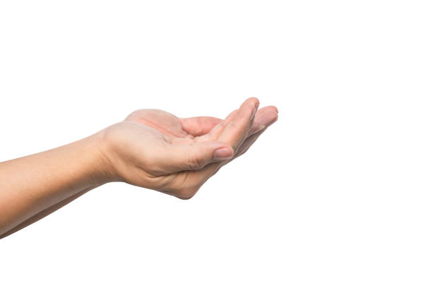 istock man hand open and ready to help or receive. Gesture isolated on white background with clipping path 1249219984