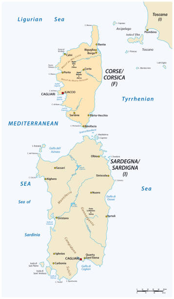 illustrazioni stock, clip art, cartoni animati e icone di tendenza di mappa vettoriale delle due isole del mar mediterraneo della corsica e della sardegna - sardegna