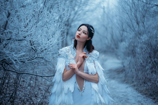 Young woman snow queen. Fantasy cape, white feathers. Creative clothes  Fashion model beautiful face. Elven cloak, princess in winter forest, trees in hoarfrost, snow. Silver Tiara Circlet