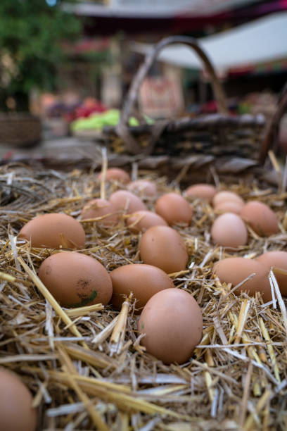 ストローバスケットの有機新鮮な農場の卵 - agriculture brown burlap cholesterol ストックフォトと画像