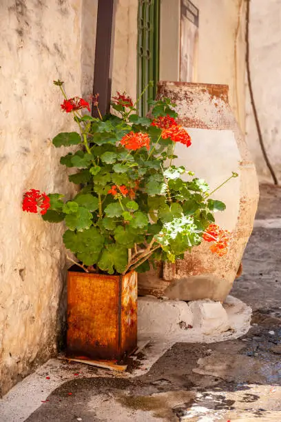 Amphora with flowers in the courtyard of the monastery