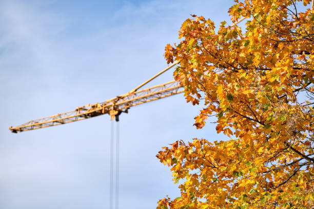 Beautiful maple tree in autumn colors in front of a crane stock photo
