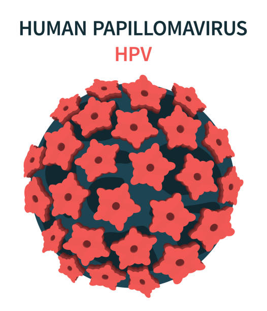 Ilustración de Estructura Celular Del Virus Del Papiloma Humano Vph y más  Vectores Libres de Derechos de Virus del papiloma humano - iStock