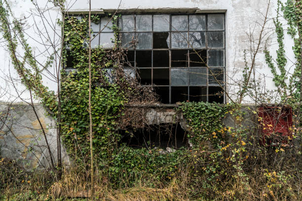istock Ruined factory window 1249233514