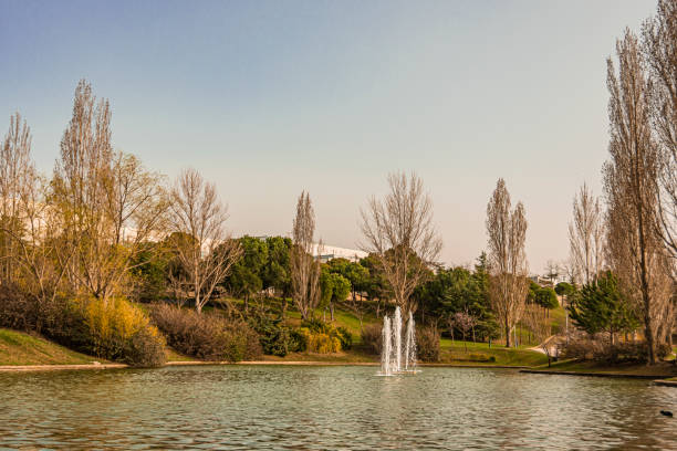 View of the central park of the city of Tres Cantos. Madrid. Spain Lake in the central park of the city of Tres Cantos. community of Madrid. Spain Distracted stock pictures, royalty-free photos & images