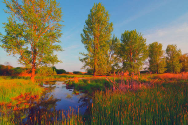 Oil landscape painting showing swamp on a sunny day.