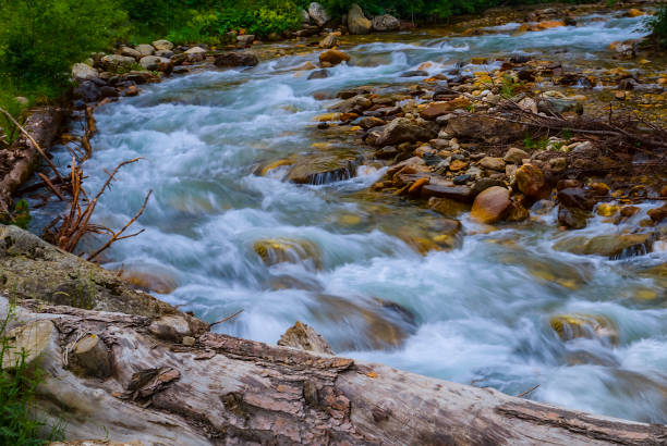 istock mountain river rushing over the stones in a canyon 1249238321
