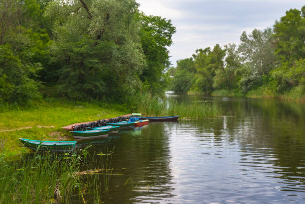 istock summer river with forest on a coast and small boats 1249238357