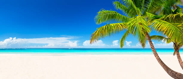 istock Travel summer holiday background concept. 1249240423