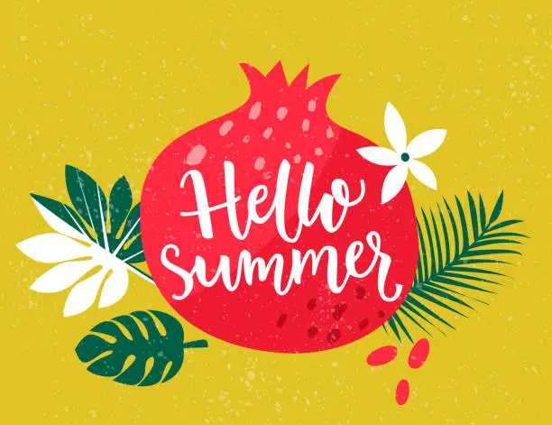 Vector illustration of Hello summer text on pomegranate and tropic leaves illustration. Bright colorful art