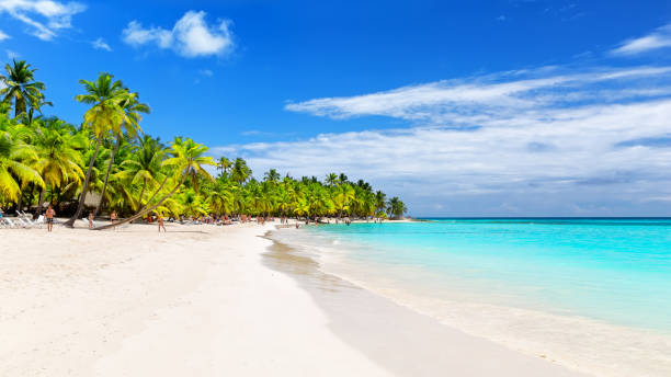 istock Coconut palm trees against blue sky and beautiful beach. 1249241510