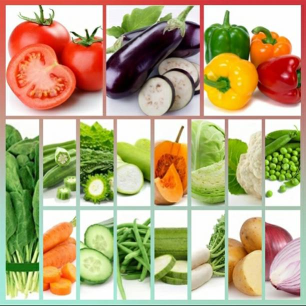colorful collage of mixed vegitables - vegitables imagens e fotografias de stock