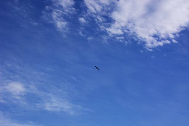 istock Blue sea, blue sky and white clouds. 1249249280