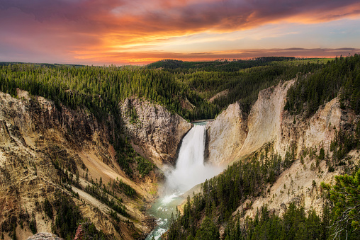 Sunset at Lower Falls in Yellowstone National Park.