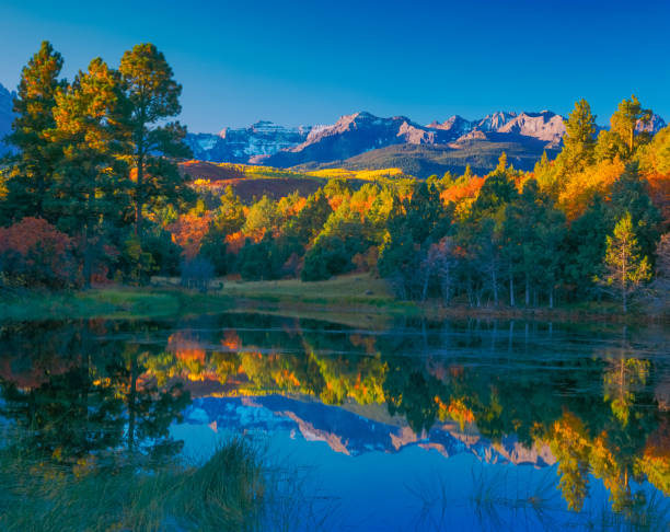 Brilliant colors are reflected in pond in Colorado A pond surrounded by fall color reflects the trees and the Sneffels Range mountains in Ridgway, Colorado, USA.  This is in the San Juan Mountains. sneffels range stock pictures, royalty-free photos & images