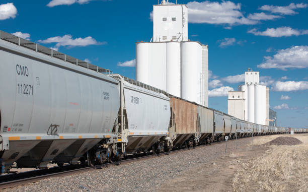 Grain Train Grain hauling train is stopped at a large Kansas grain silo terminal kansas photos stock pictures, royalty-free photos & images