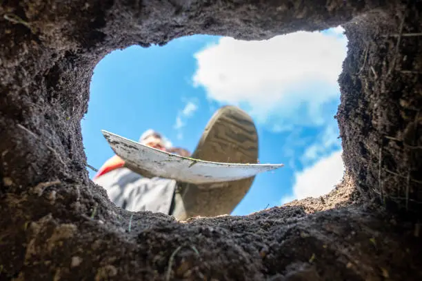 A gardener digs a hole with a spade, photographed from below from the hole towards the sky.