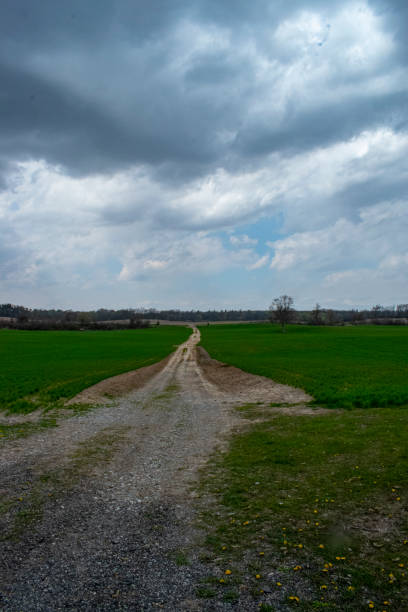 istock Farm Road through a Field 1249254137