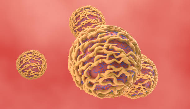 istock T-cell, Lymphocyte produced by the thymus gland 1249255110
