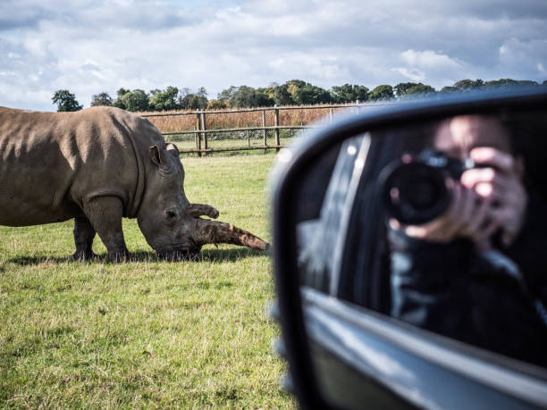 istock Woburn Safari Park 1249255290