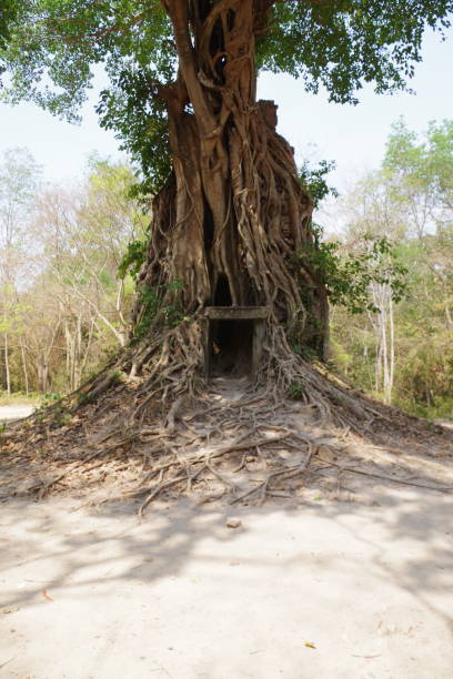 istock UNESCO World Heritage Site Sambor Prei Kuk 1249255507