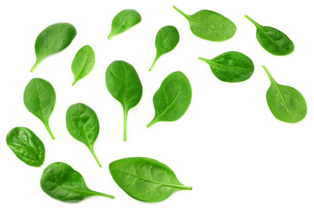 istock Mix of different salads isolated on white background. top view 1249257933