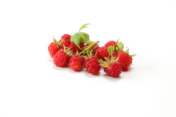istock freshly picked raspberries in a white background 1249258640
