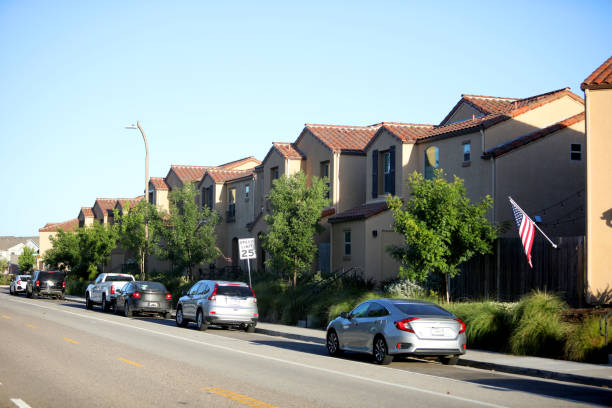 istock Suburban Housing 1249259702