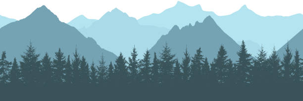 ilustraciones, imágenes clip art, dibujos animados e iconos de stock de patrón sin costuras. siluetas de bosque y montaña, ilustración vectorial - noble fir