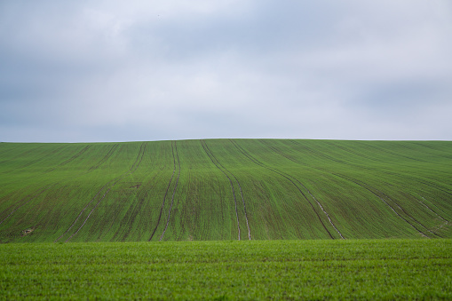 Turkey, Sky, Field, Meadow, Sun, Spring, Seasonal, Summer, Tractor