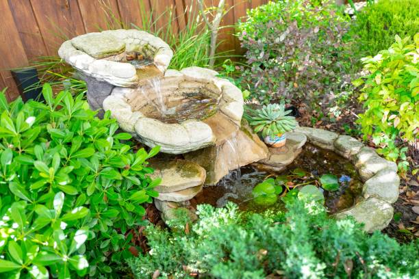istock Backyard Fountain With Water Lillies 1249274545