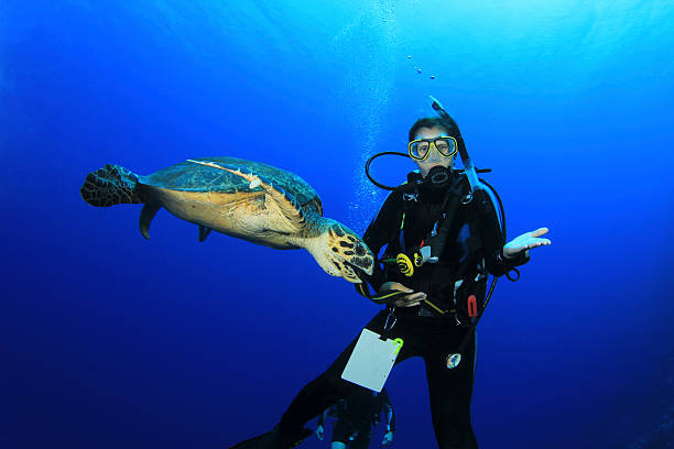 istock Scuba Diver meets a very friendly Sea Turtle 124927938