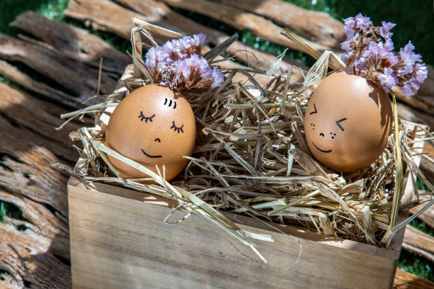 istock The two happy eggs is lying on dry straw. 1249283306