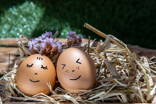 istock The two happy eggs is lying on dry straw. 1249283307